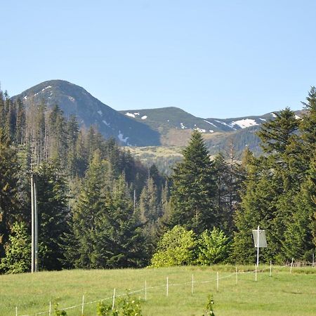 Apartamenty "U Blizniakow" Zakopane Dış mekan fotoğraf