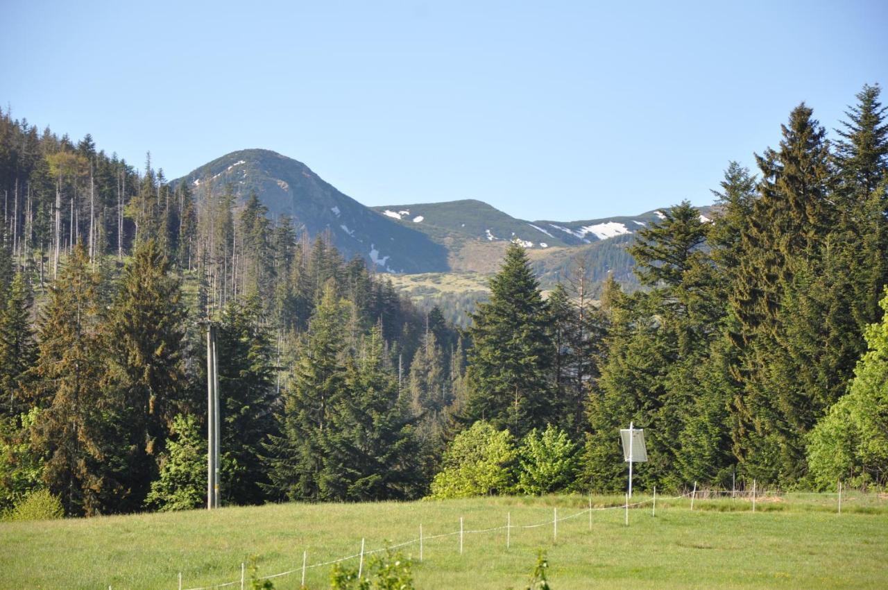 Apartamenty "U Blizniakow" Zakopane Dış mekan fotoğraf