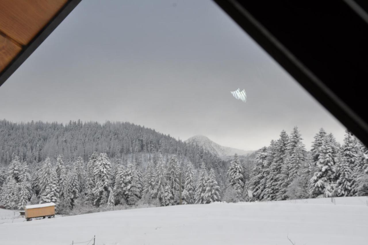Apartamenty "U Blizniakow" Zakopane Dış mekan fotoğraf