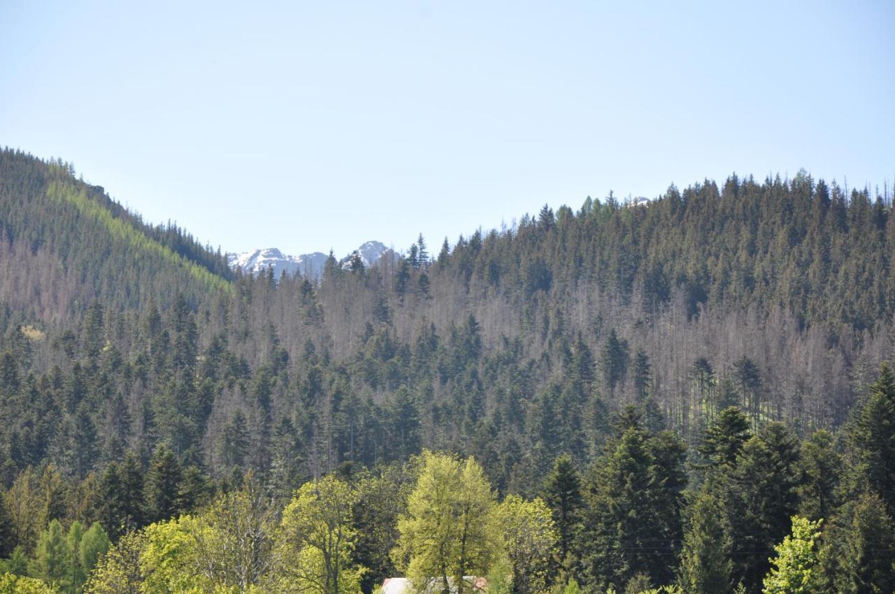 Apartamenty "U Blizniakow" Zakopane Dış mekan fotoğraf