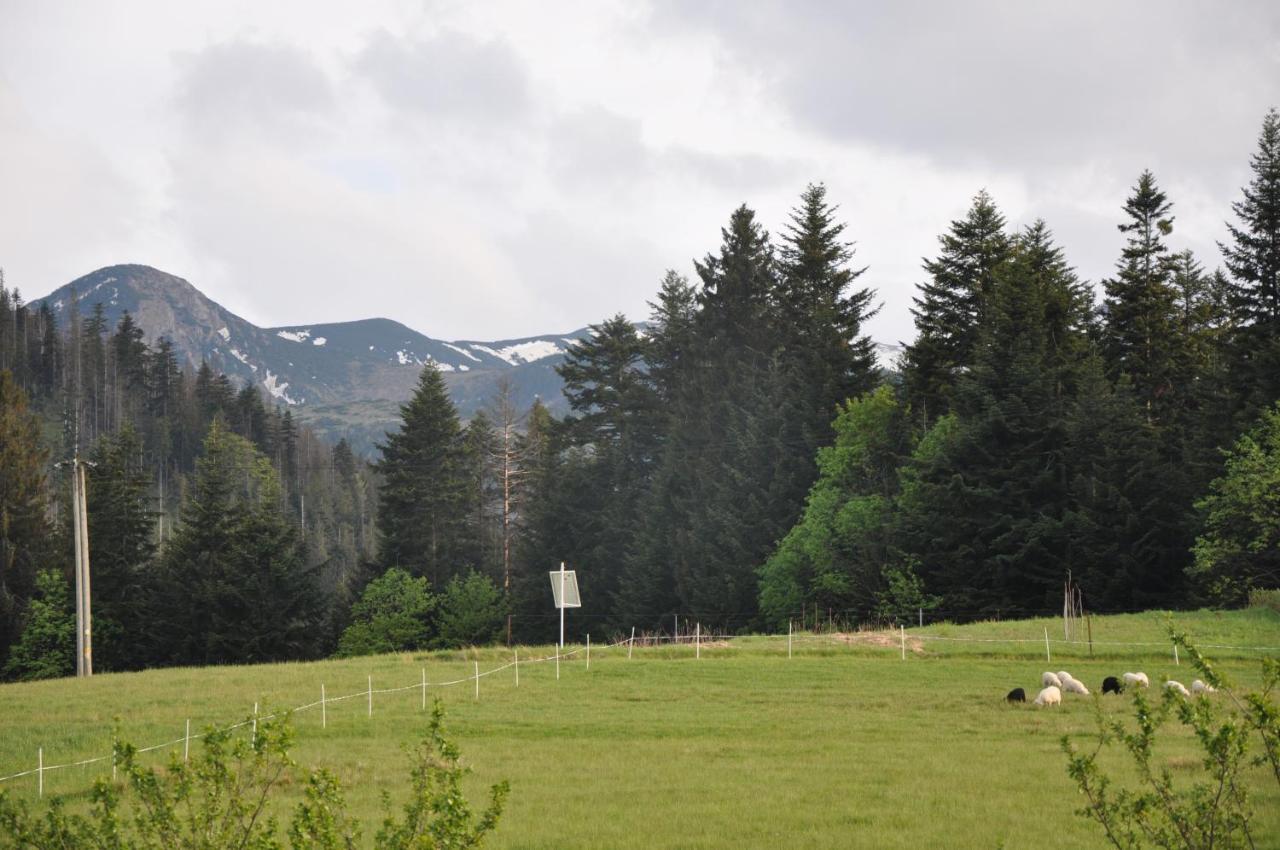 Apartamenty "U Blizniakow" Zakopane Dış mekan fotoğraf