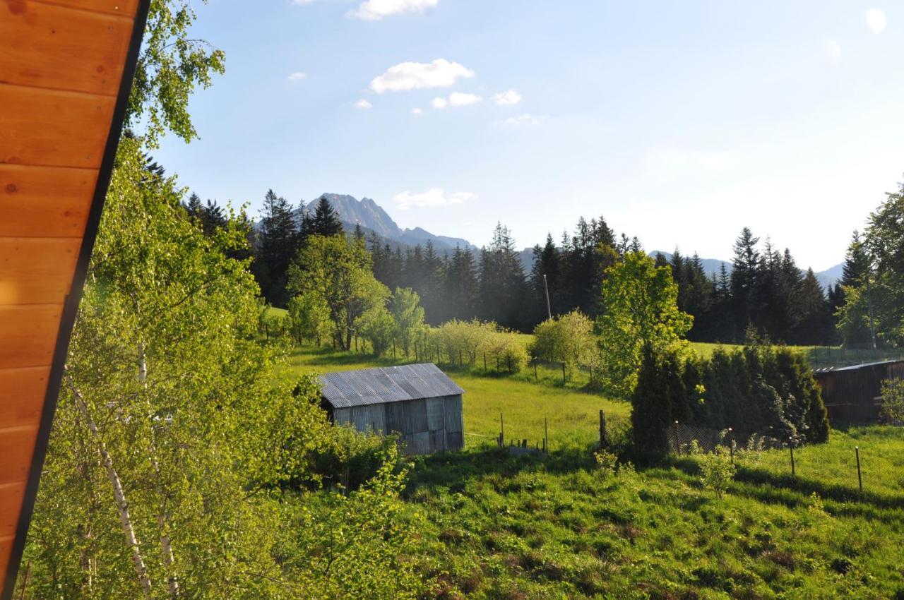 Apartamenty "U Blizniakow" Zakopane Dış mekan fotoğraf