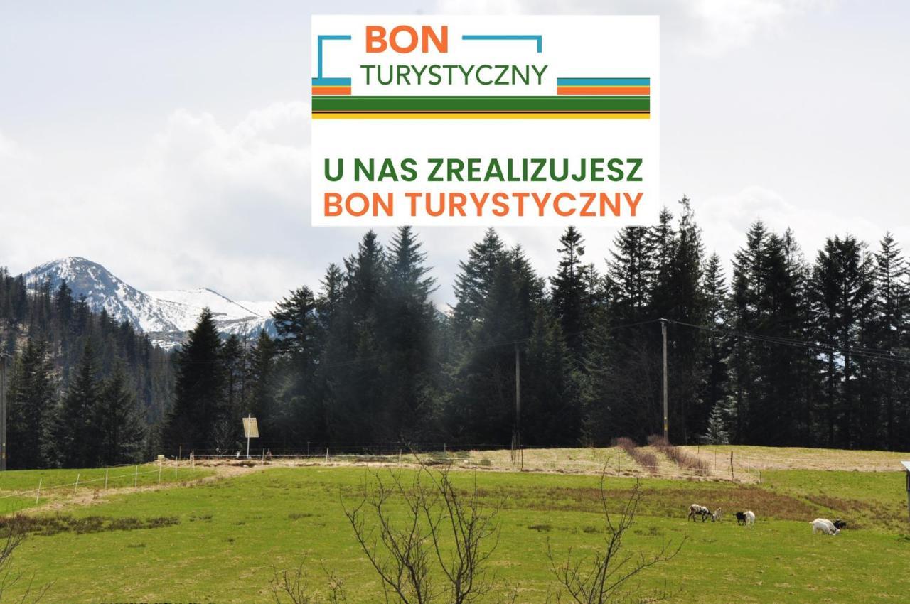 Apartamenty "U Blizniakow" Zakopane Dış mekan fotoğraf
