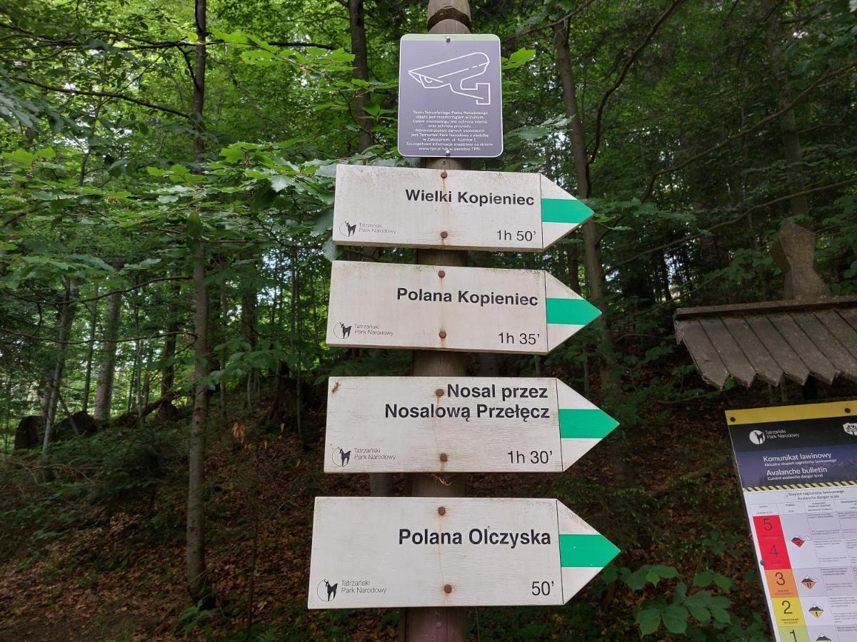 Apartamenty "U Blizniakow" Zakopane Dış mekan fotoğraf