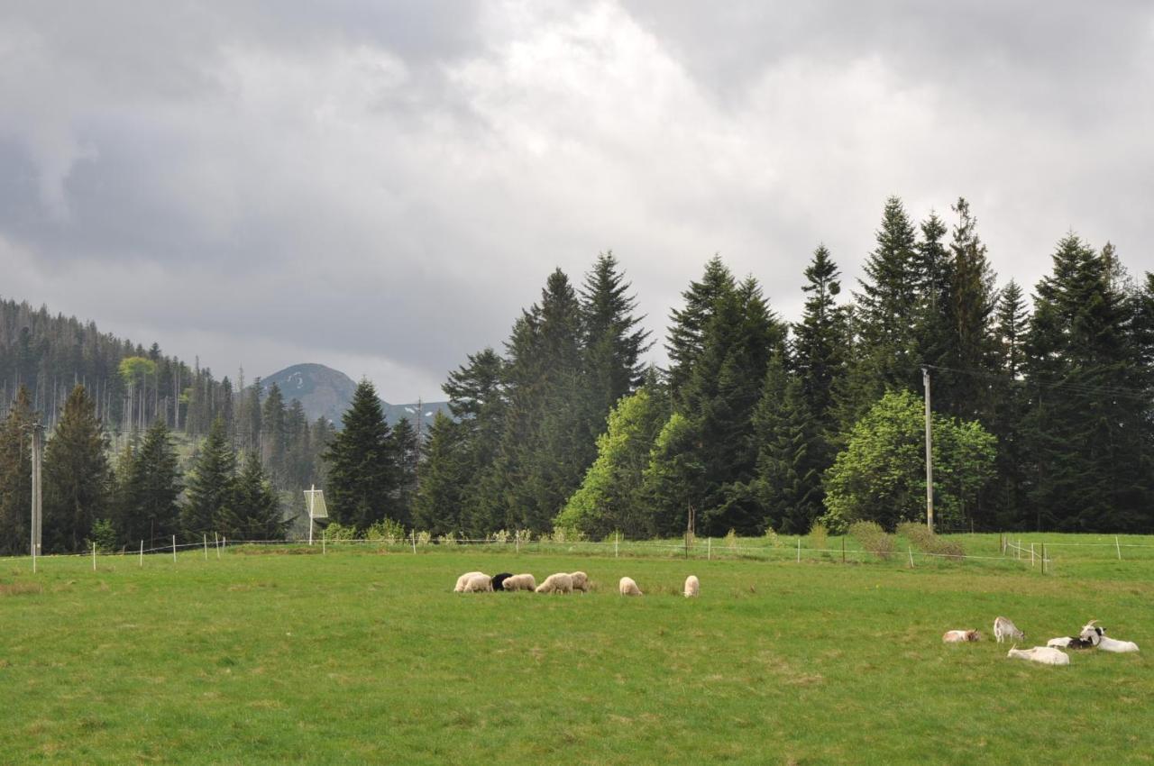Apartamenty "U Blizniakow" Zakopane Dış mekan fotoğraf