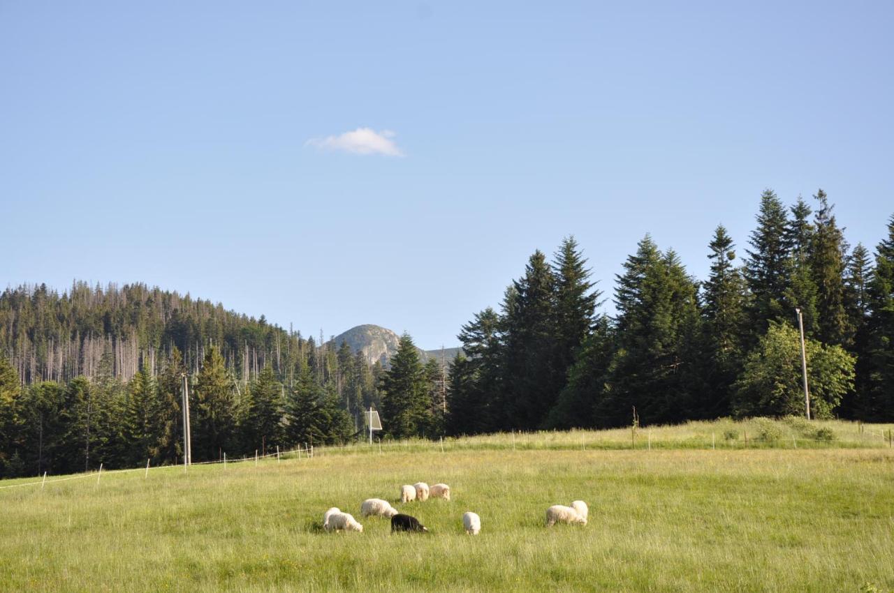 Apartamenty "U Blizniakow" Zakopane Dış mekan fotoğraf